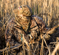 Free Mossy Oak Images